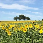 Auszeit - Historisches In Der Suedpfalz בית נופש *