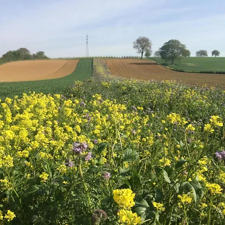 Feriehus Auszeit - Historisches In Der Suedpfalz