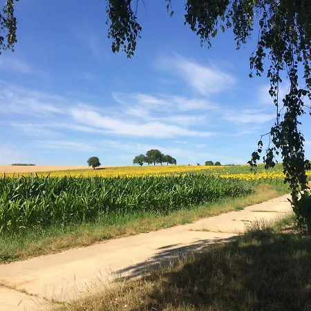 Auszeit - Historisches In Der Suedpfalz *