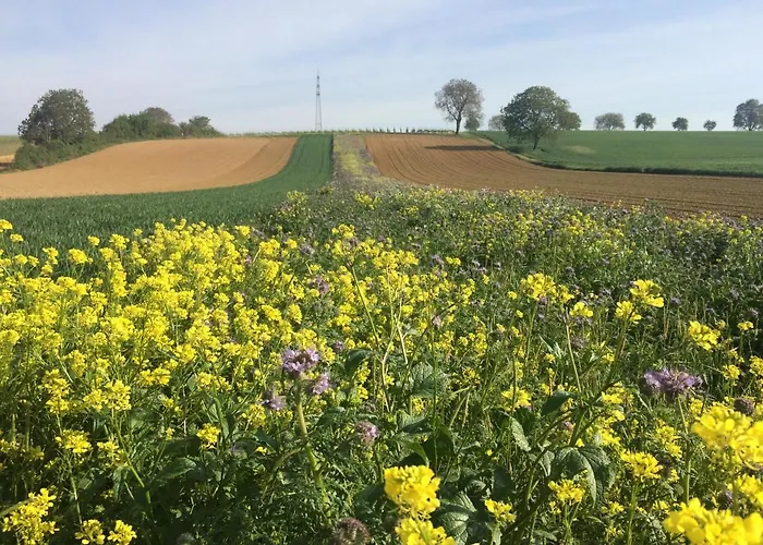 Prázdninový dům Auszeit - Historisches In Der Suedpfalz