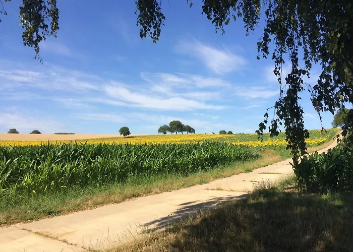 Auszeit - Historisches In Der Suedpfalz *